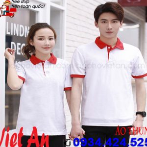 ÁO THUN CÔNG SỞ 41